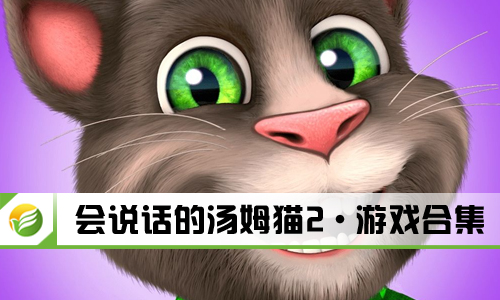 会说话的汤姆猫2