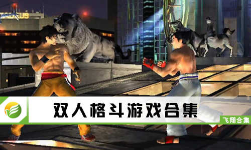 双人格斗游戏
