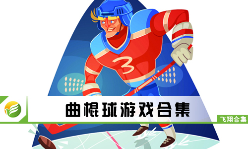 曲棍球游戏