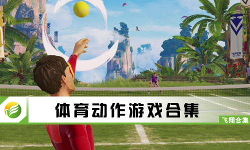 体育动作游戏