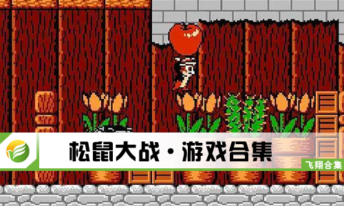 松鼠大战