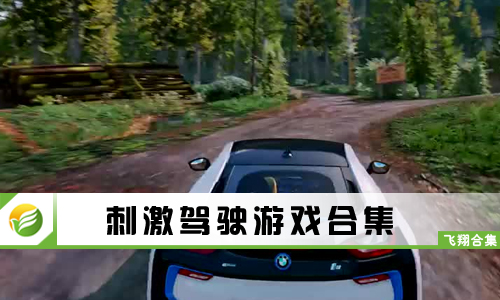 刺激驾驶游戏