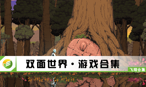 双面世界