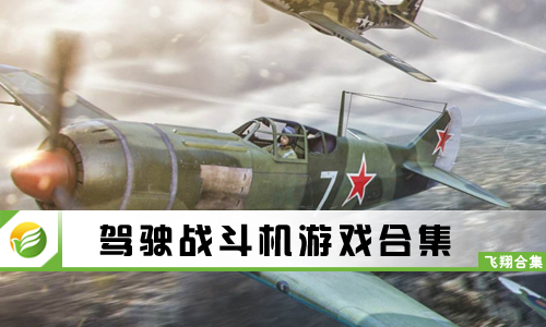 驾驶战斗机游戏
