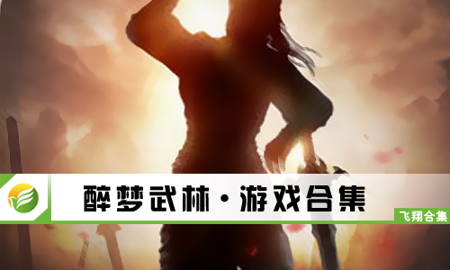 醉梦武林
