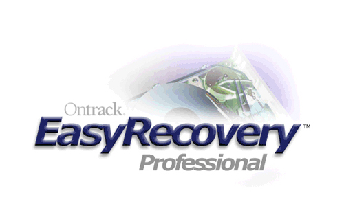 EasyRecovery Professional