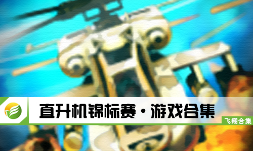 直升机锦标赛