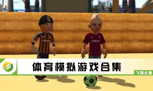 体育模拟游戏