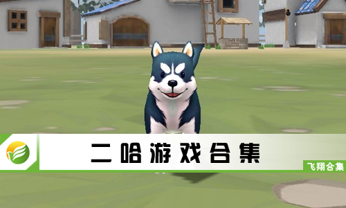 二哈游戏