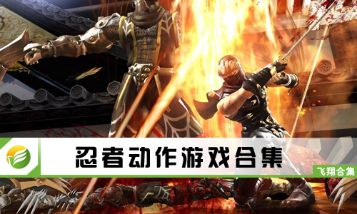 忍者动作游戏