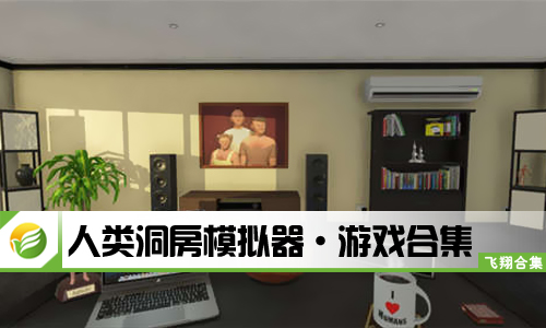 人类洞房模拟器