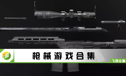 枪械游戏