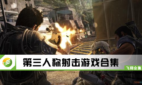 第三人称射击游戏