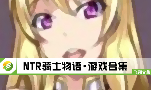 NTR骑士物语