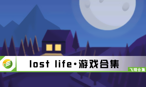 lost life