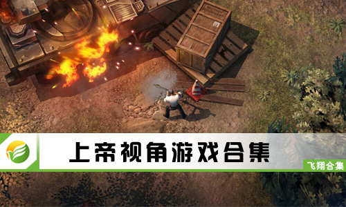 上帝视角游戏