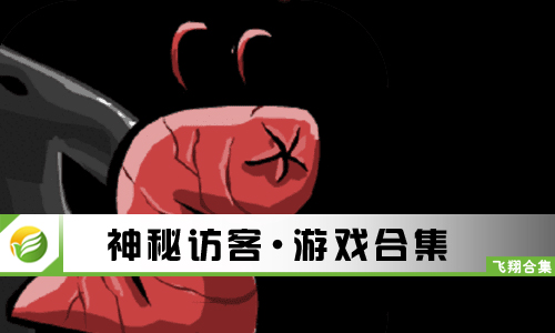 神秘访客
