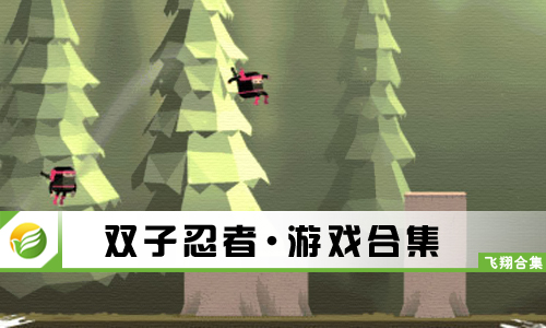 双子忍者