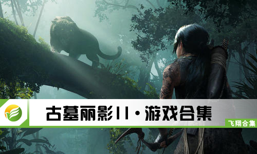 古墓丽影11