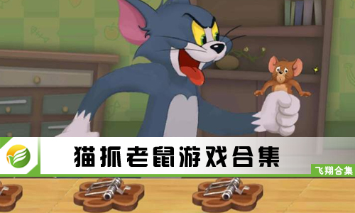 猫抓老鼠游戏