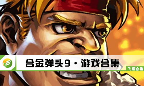 合金弹头9