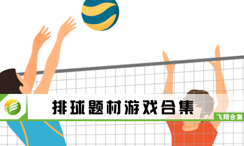 排球题材游戏
