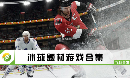 冰球题材游戏