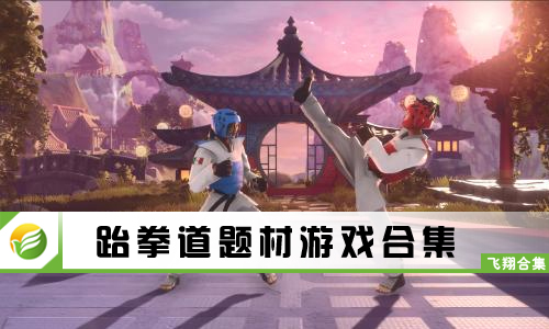 跆拳道题材游戏