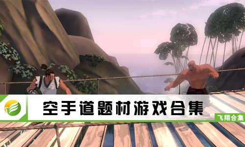 空手道题材游戏