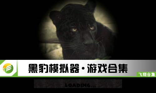 黑豹模拟器