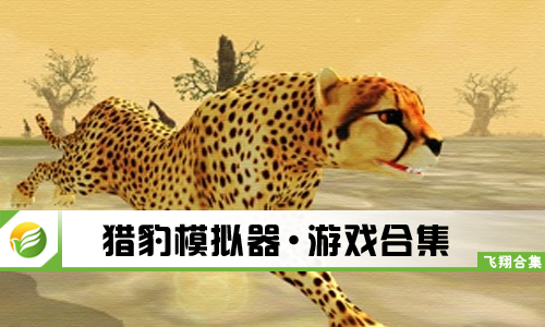 猎豹模拟器
