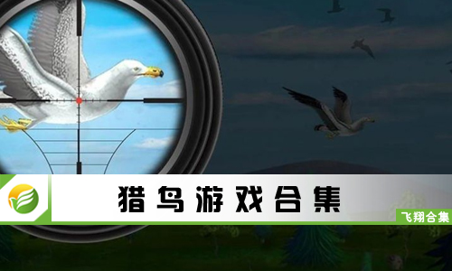 猎鸟游戏