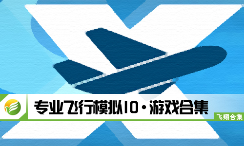 专业飞行模拟10
