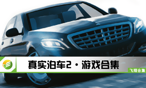 真实泊车2