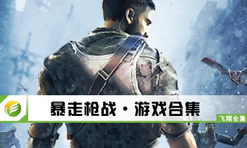 暴走枪战