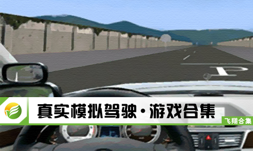 真实模拟驾驶