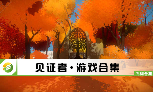 见证者