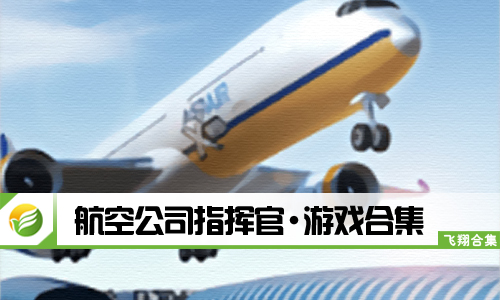 航空公司指挥官