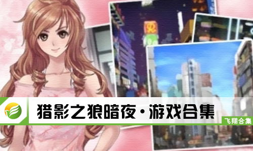 猎影之狼暗夜