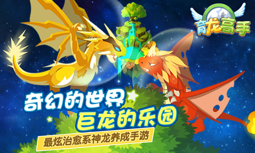 育龙高手