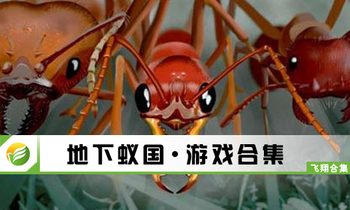 地下蚁国