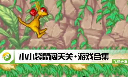 小小袋鼠闯天关