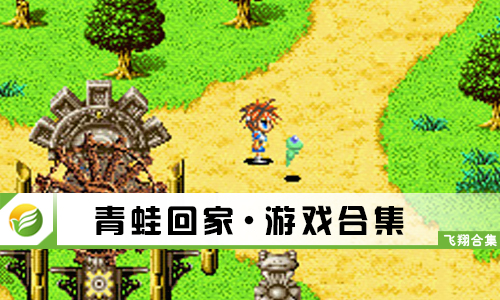 青蛙回家