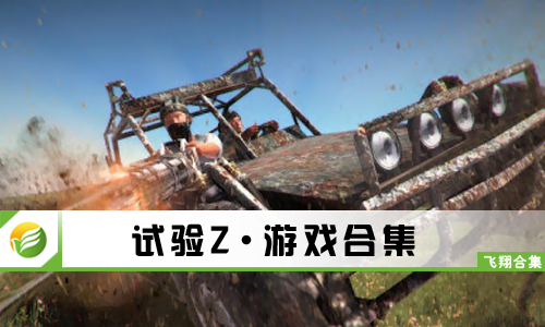 试验Z