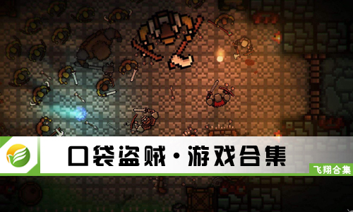 口袋盗贼