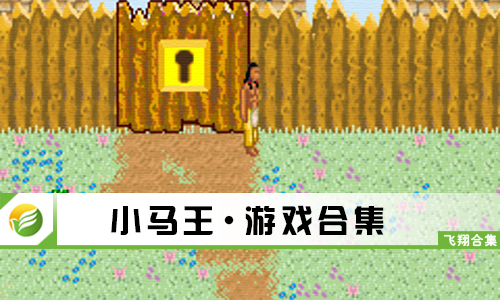 小马王