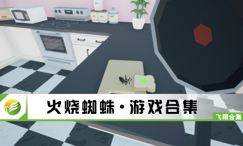 火烧蜘蛛