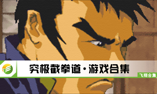 究极截拳道