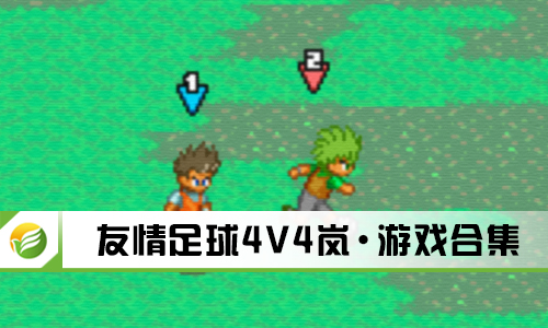 友情足球4V4岚