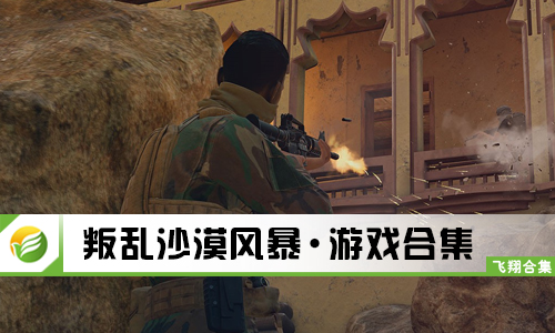 叛乱沙漠风暴